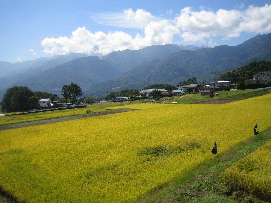 Pension Field Hokuto  Esterno foto
